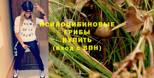 круглые Алексеевка