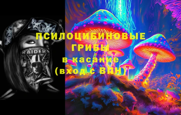 меф Алексин