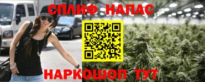 PSILOCYBIN Ирбит