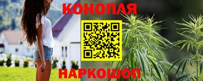PSILOCYBIN Ирбит